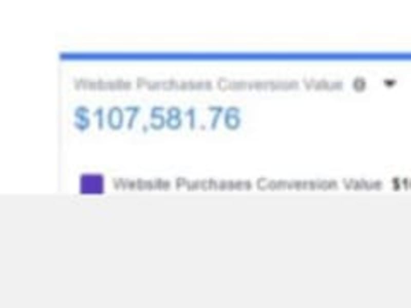 Cover image for Ecommerce Digital Marketing Campaign