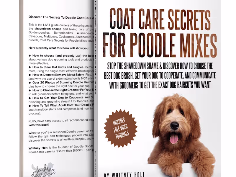 Cover image for Book Contributor: Coat Care Secrets For Poodle Mixes