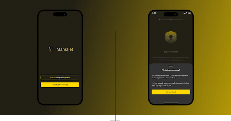 Cover image for Designing for Security & Safety: A Crypto Wallet Onboarding
