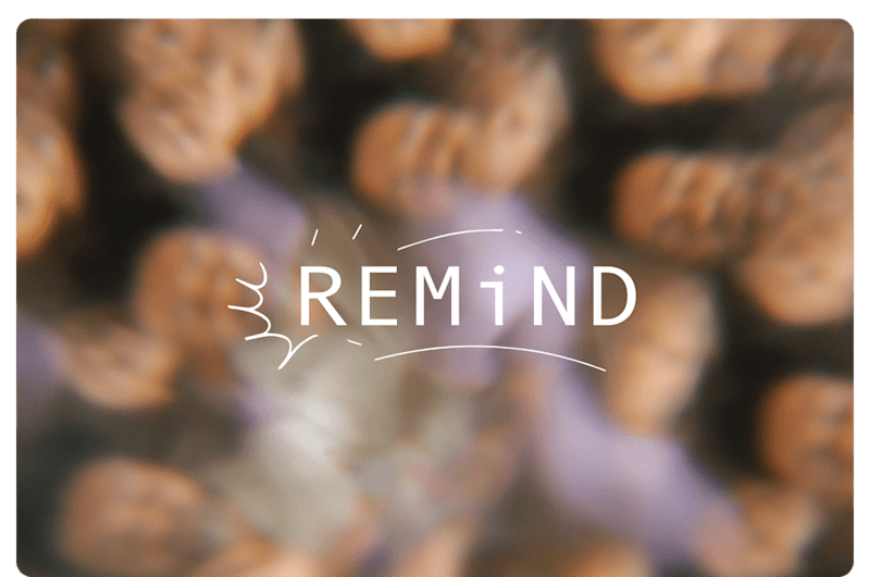 Cover image for Signage, Label, + Social for REMiND