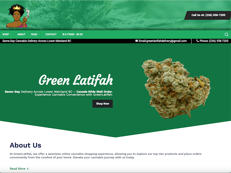 Cover image for Responsive Web Design for E-commerce Store : Green Latifah