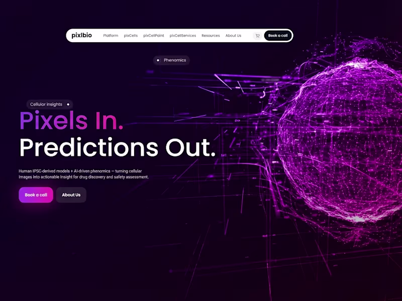 Cover image for Built a clean, responsive Webflow