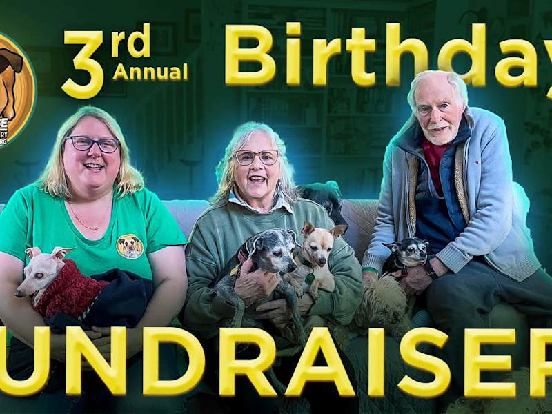 Cover image for Birthday Fundraiser YT Thumbnail Design Moose Lodge SPS