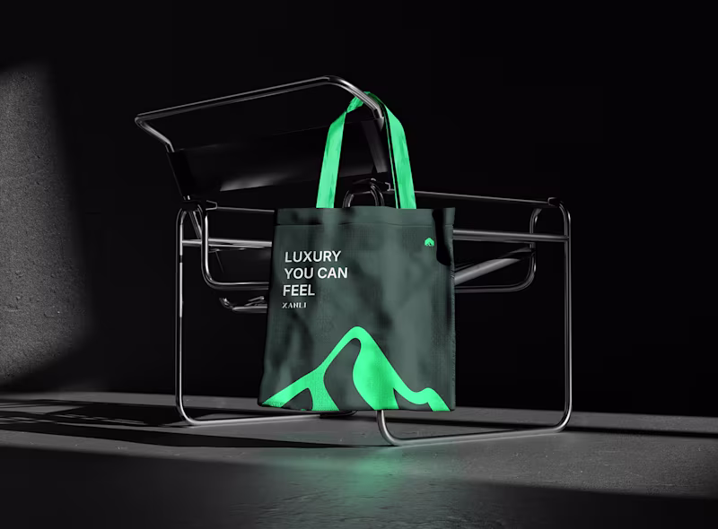 Cover image for Xanli Brand Identity