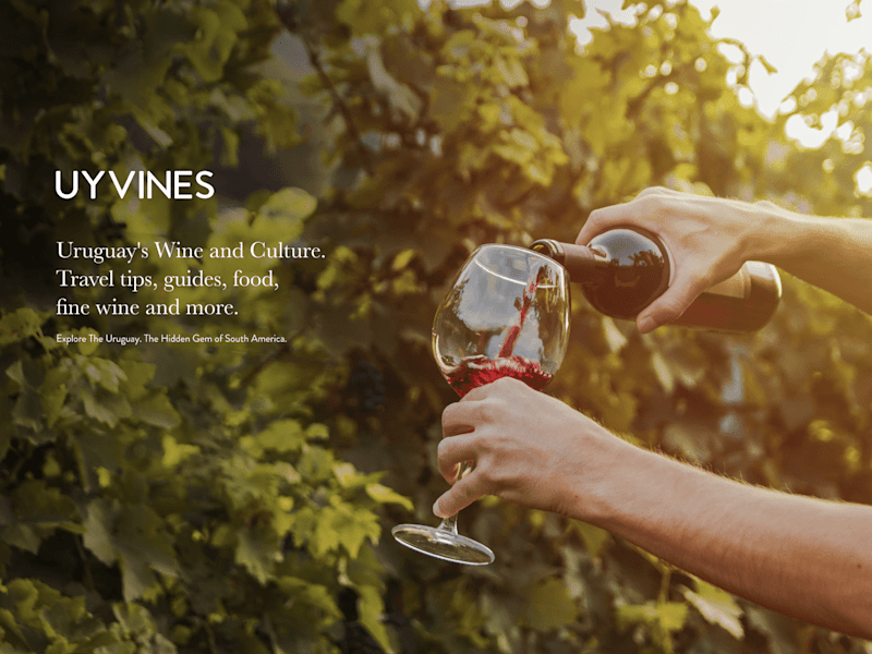 Cover image for UYVINES Blog Design