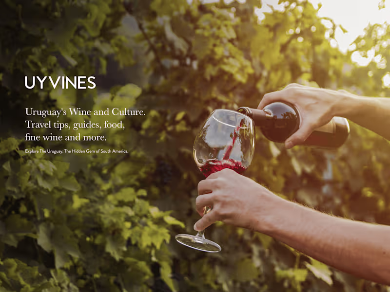 Cover image for UYVINES Blog Design