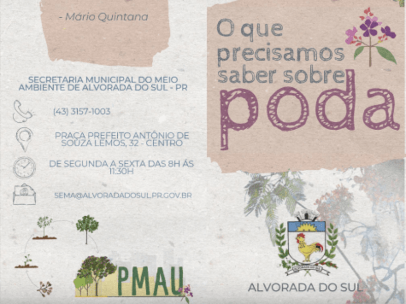 Cover image for Urban Afforestation Folder and need for pruning