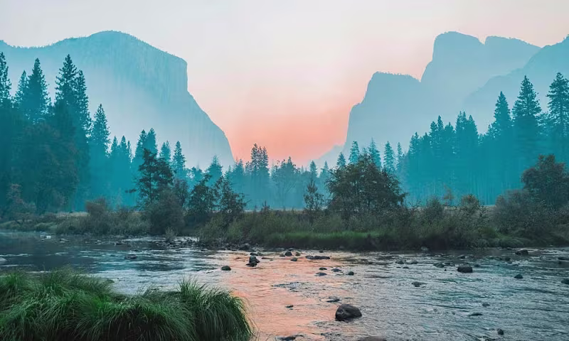 Cover image for Correlated Alignment