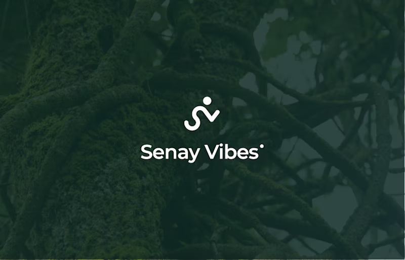 Cover image for Senay Vibes - Brand Identity on Behance