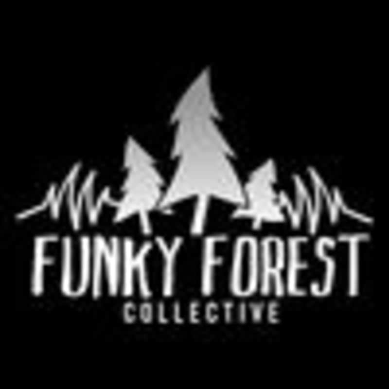 Cover image for Funky Forest (@funkyforestcollective) • Instagram photos and vi…