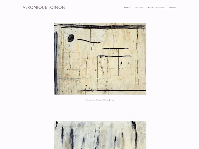 Cover image for Veronique Toinon, Painter
