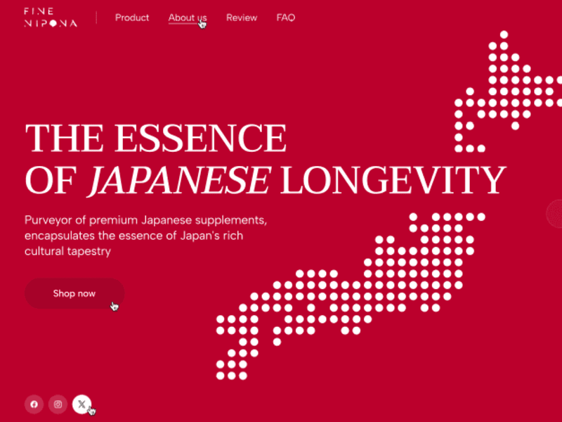 Cover image for Fine Nipona | Web Design