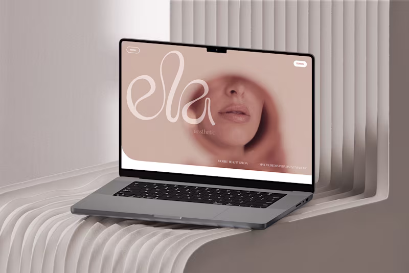 Cover image for ela aesthetic