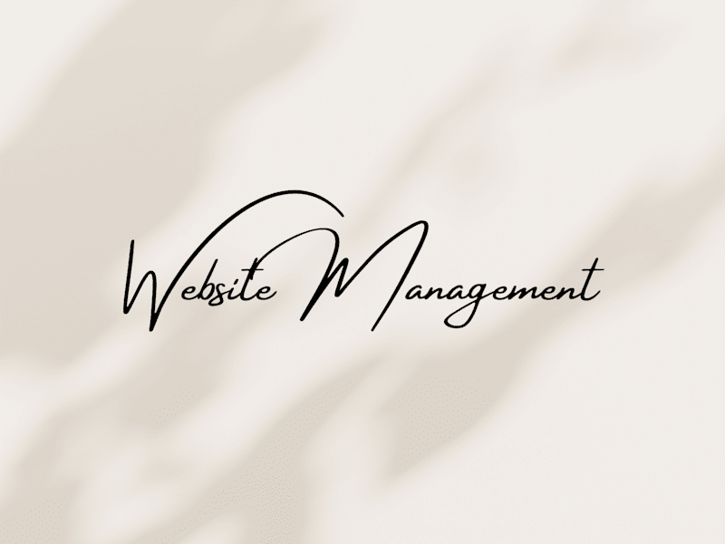 Cover image for Website Management (Existing Website)