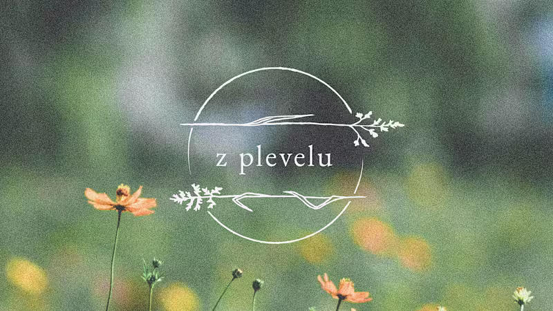 Cover image for logo for florist on Behance