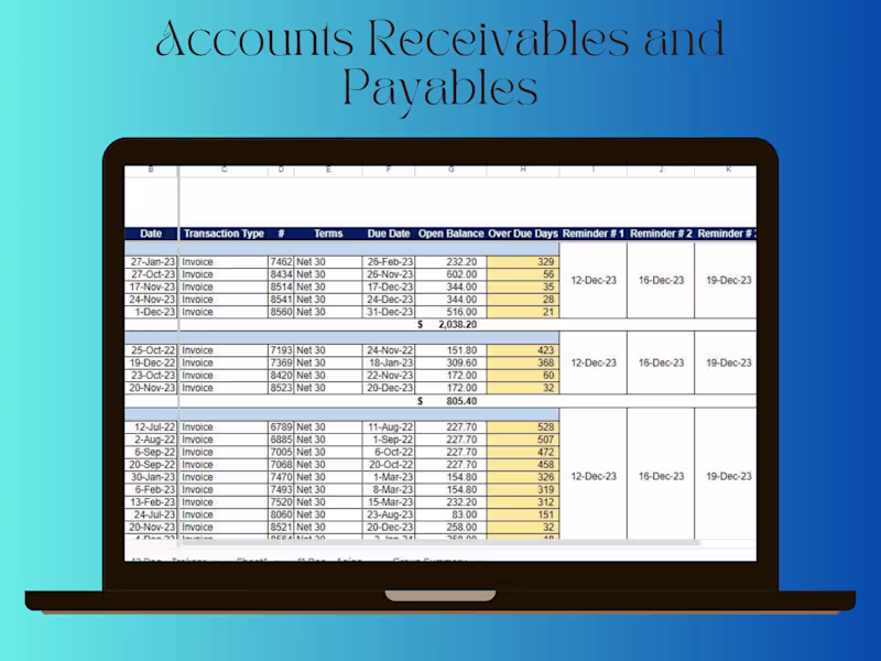 Cover image for Accounts Payable and Receivables 