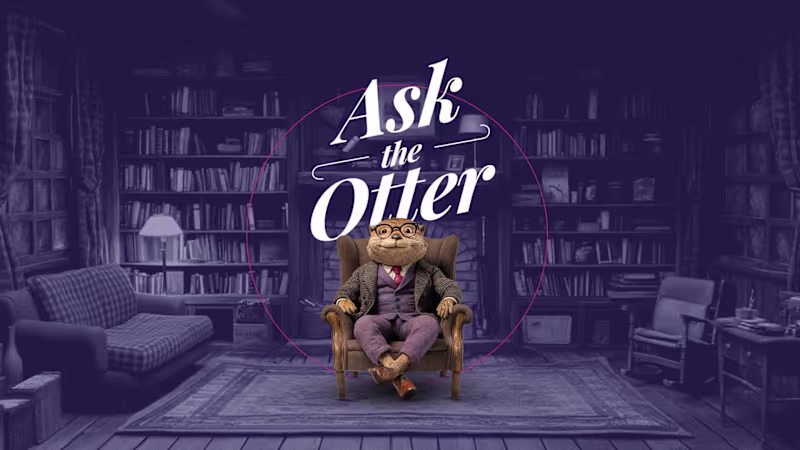 Cover image for Ask the Otter website and chatbot