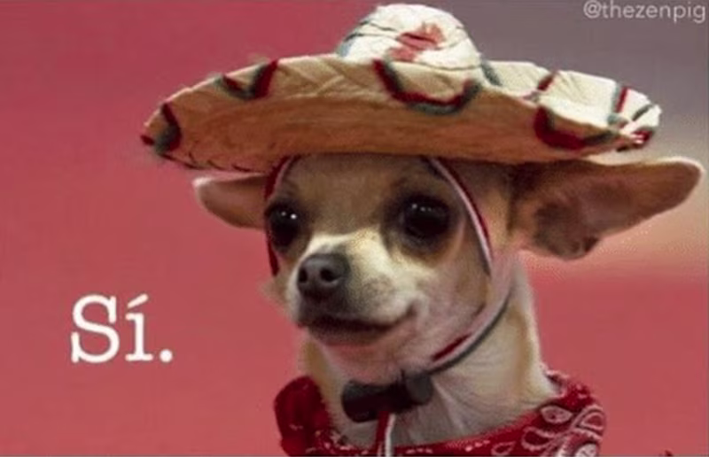 Cover image for Pitch-Deck Design!