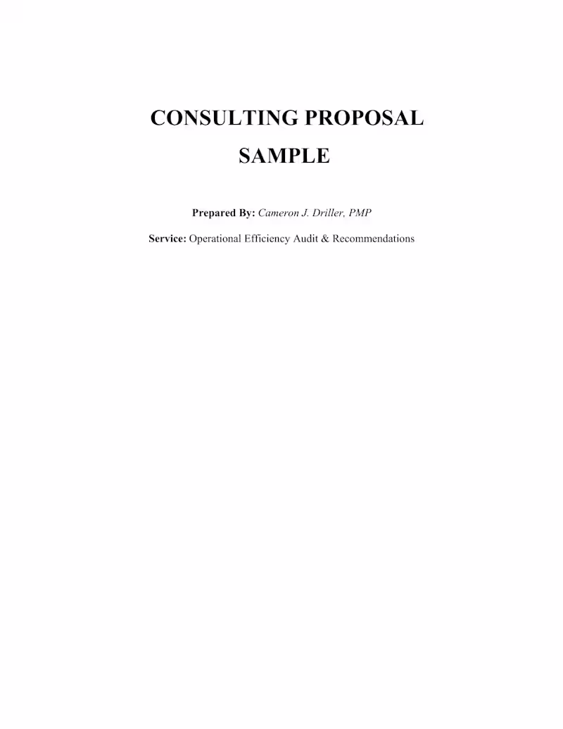 Cover image for Operational Efficiency Consulting Proposal (Sample Work)