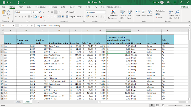 Cover image for Accurate Data Entry: Sales Report
