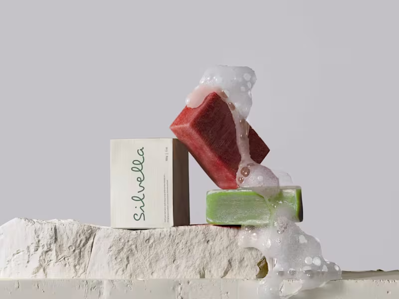 Cover image for Silvella