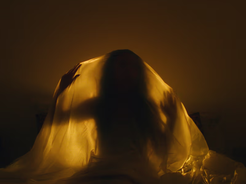 Cover image for Vase Mirror Self (short film)