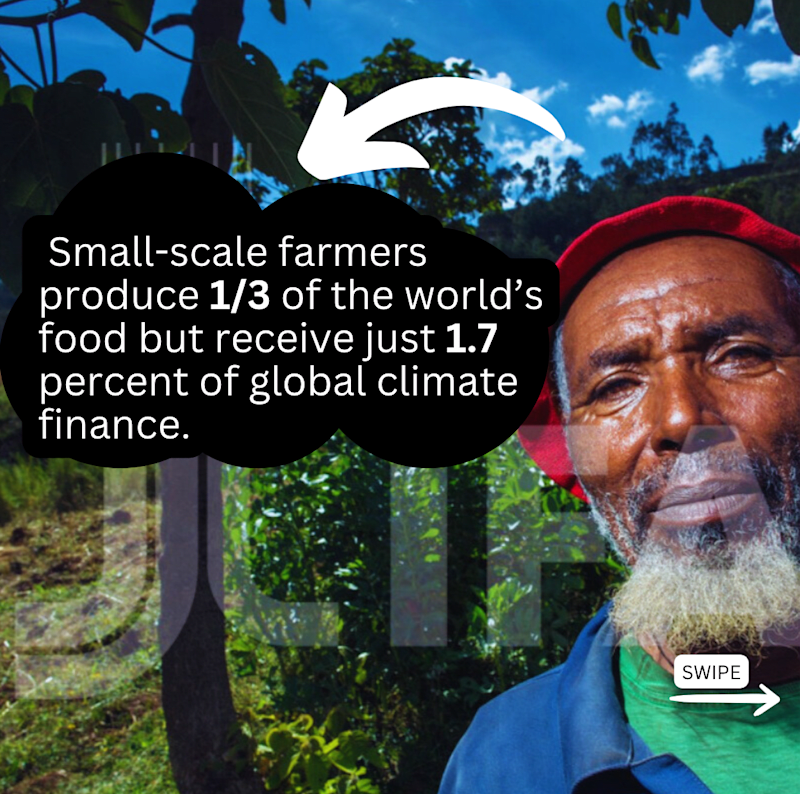 Cover image for IFAD ASAP+ Launch Proposal