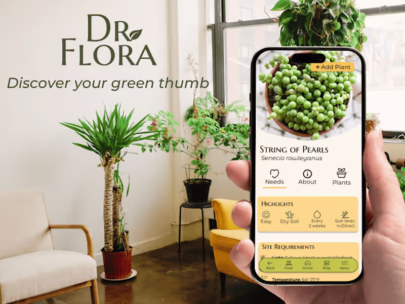 Cover image for UX Design - Digital Product Design