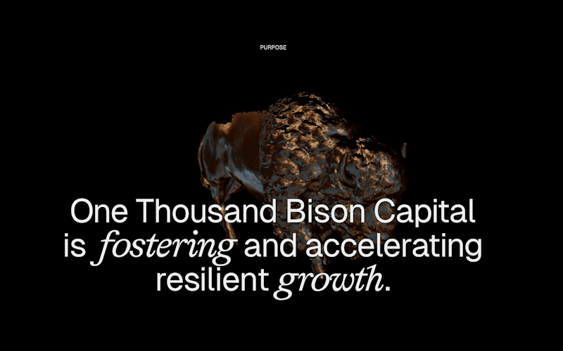 Cover image for Custom Interactive 3D Web Logo