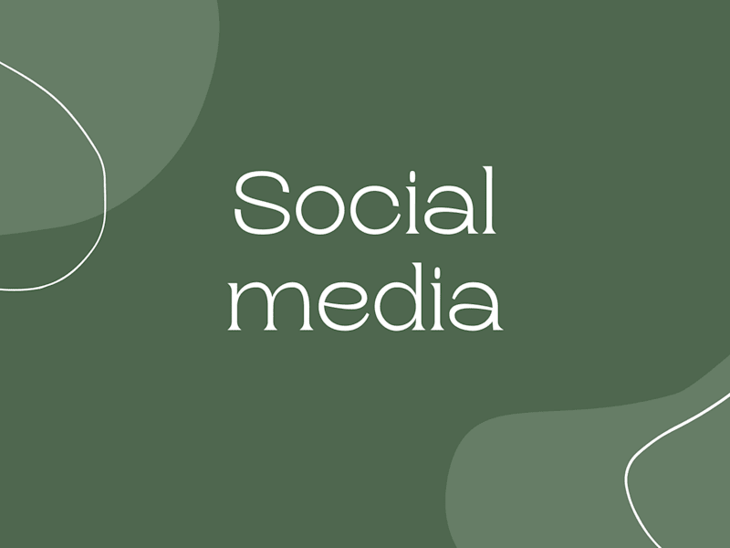 Cover image for Social Management