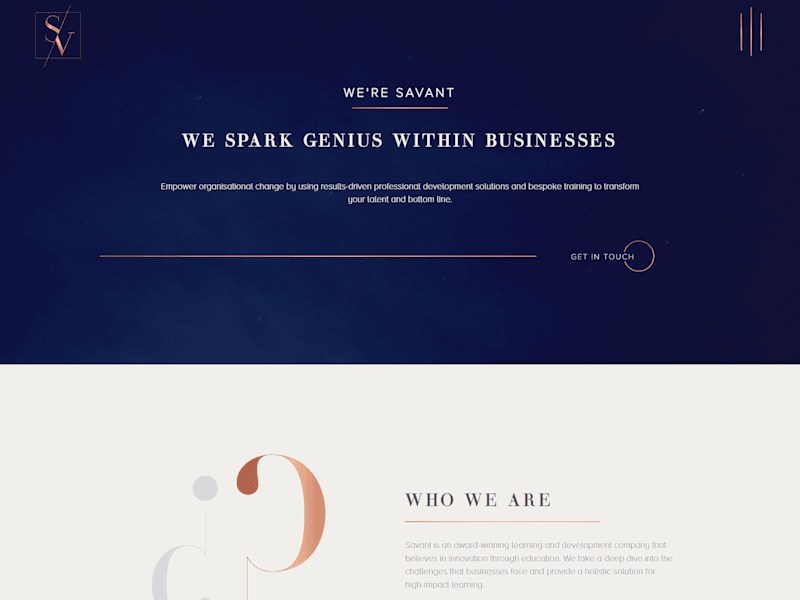 Cover image for Savant Consulting