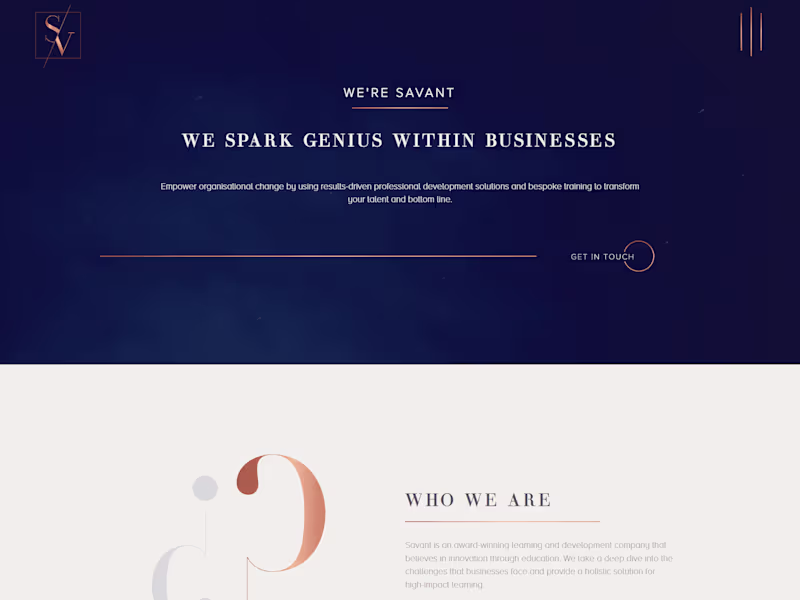 Cover image for Savant Consulting