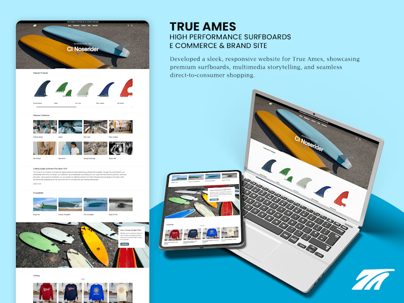 Cover image for Trueames Website Development