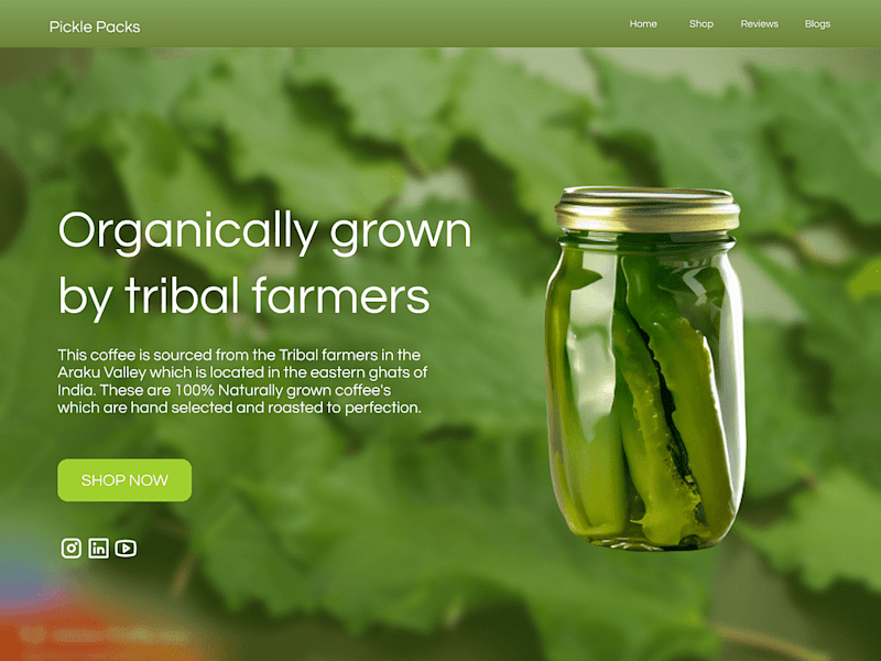 Cover image for Pickle selling site
