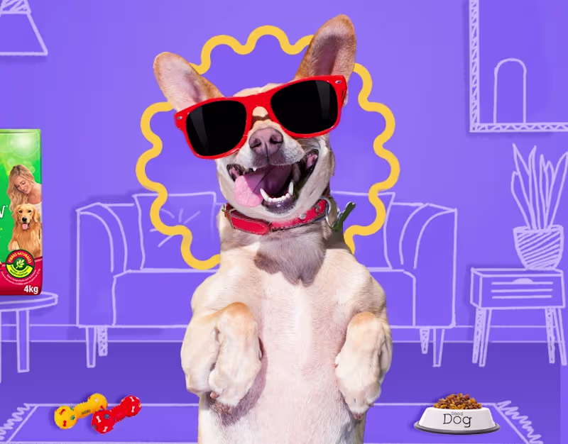 Cover image for SIRENA | Feria de Mascotas 2022