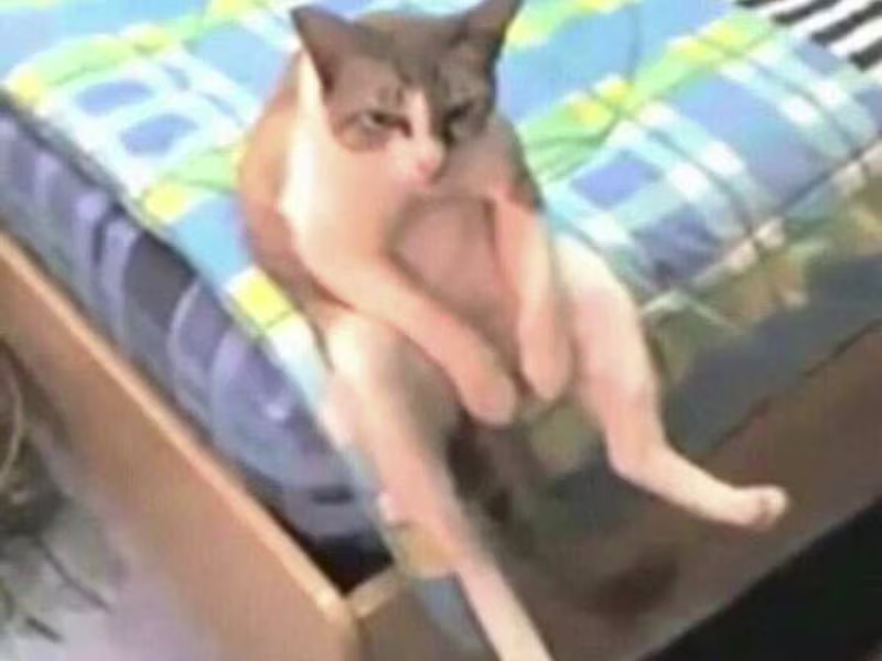 Cover image for quality and interesting