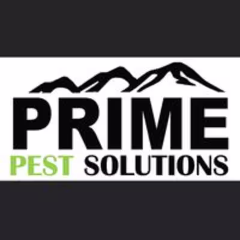 Cover image for Prime Pest Solutions- Social Media Management 