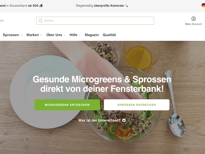 Cover image for Online Store Redesign &  Restructuring + E-Mail Marketing + SEA