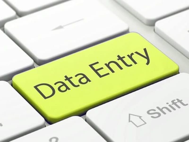 Cover image for Data entry 