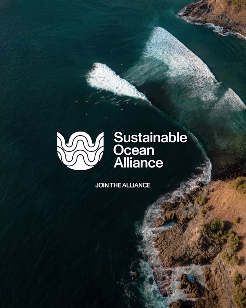 Cover image for As Sustainable Ocean Alliance’s fractional Director of Marke...