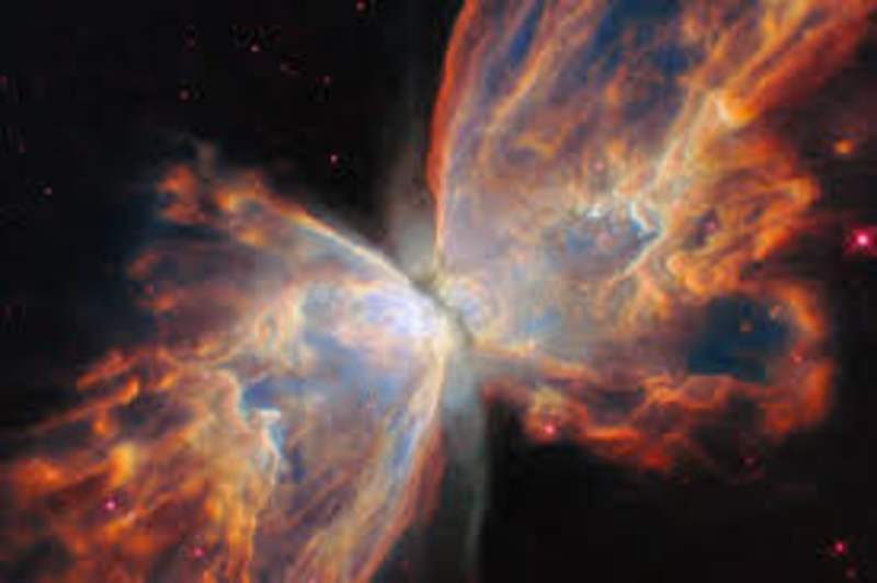 Cover image for DASHED
