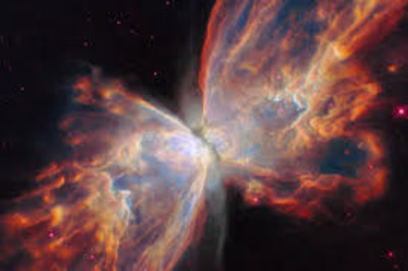 Cover image for DASHED
