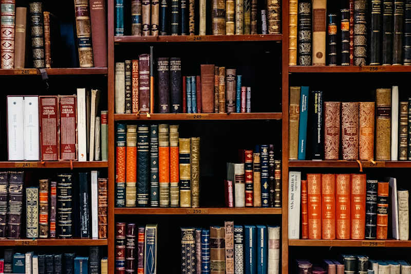 Cover image for What to Consider When Applying to Law Schools