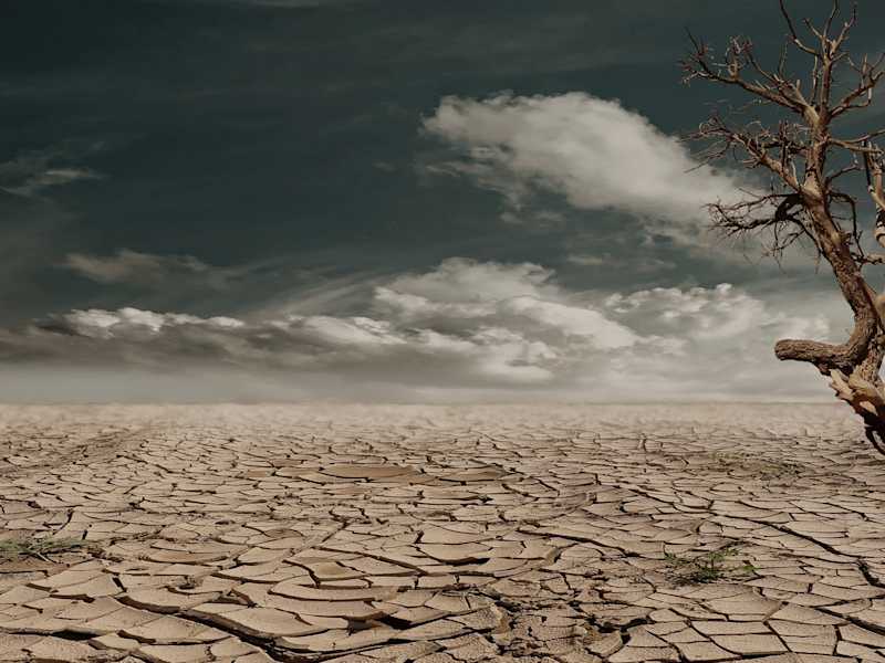 Cover image for Climate change: The grassroots interventions.