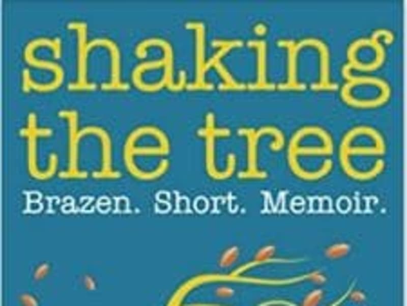 Cover image for Shaking the Tree: Brazen. Short. Memoir. (Volume 3): I Didn’t S…