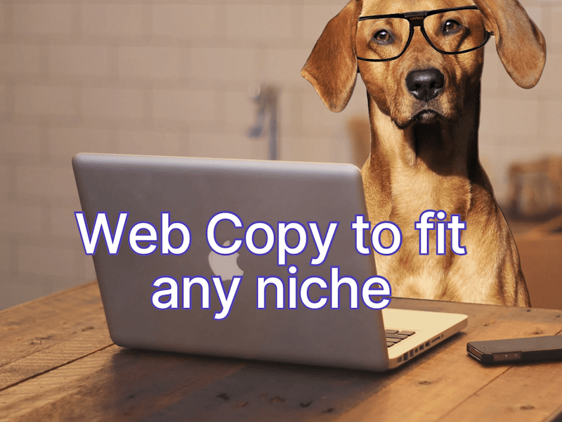 Cover image for Website Copy • Pet Niche