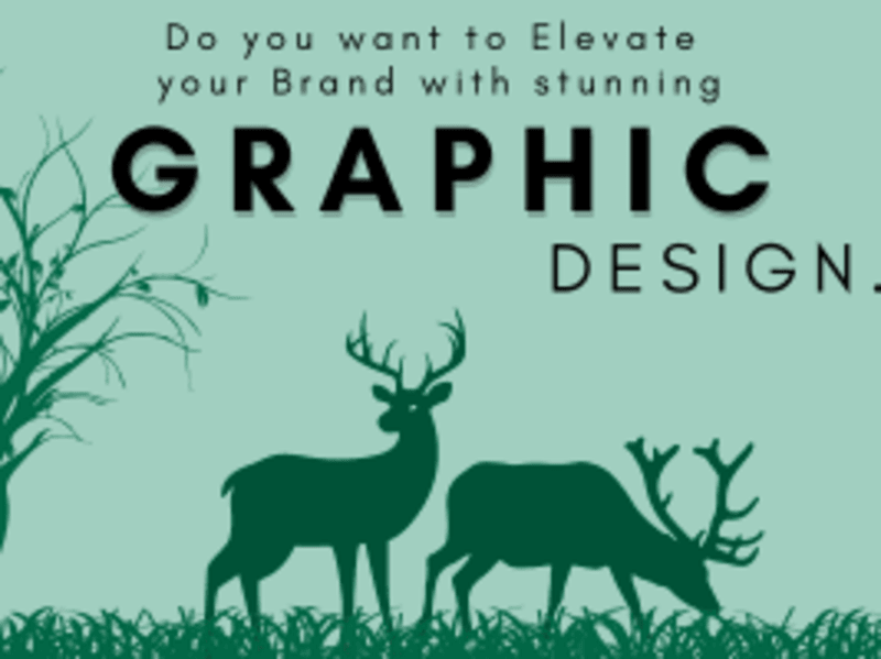Cover image for GRAPHIC DESIGN
