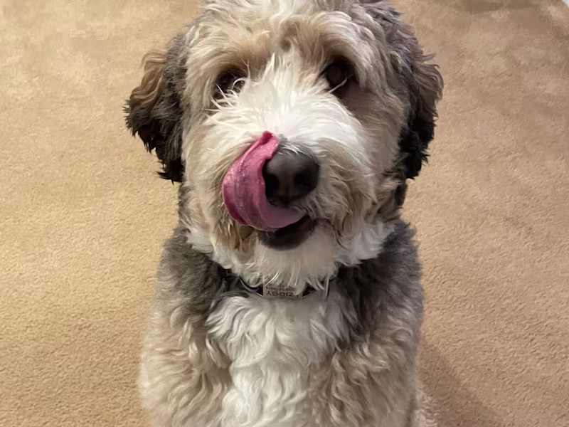 Cover image for UGC Content Creation