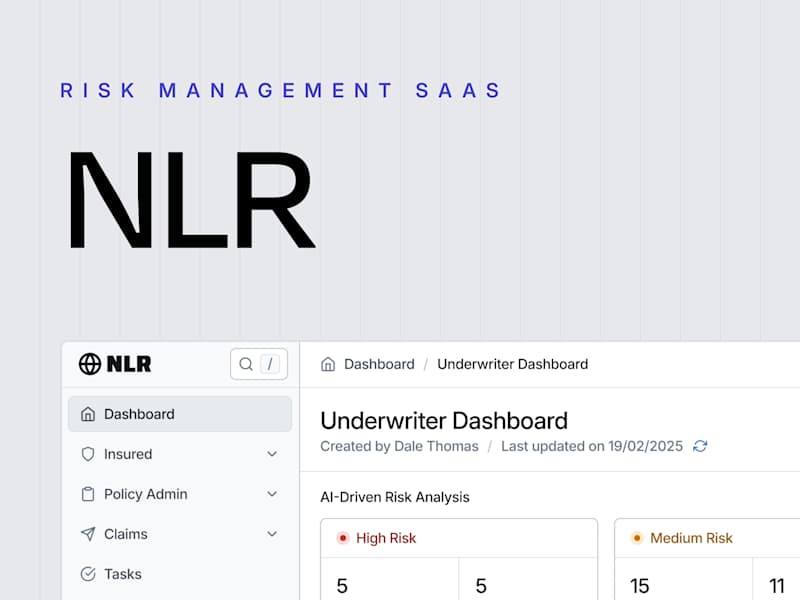 Cover image for NLR • Enhancing Usability in Risk Management Software