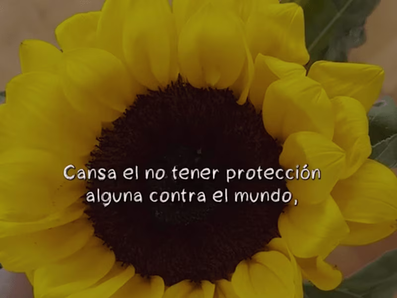 Cover image for Tiktok promocionándome